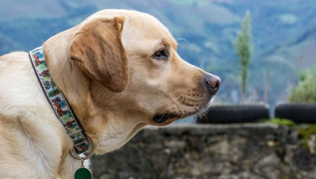 Cinco errores que no debe cometer