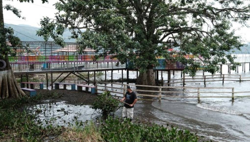 Salud intervendrá municipios aledaños al Lago de Yojoa por bacteria que transmite el cólera