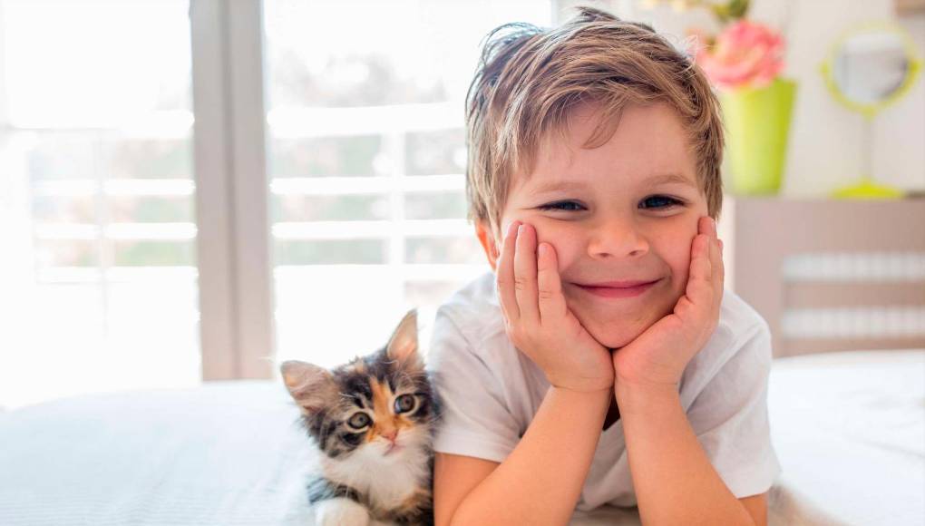 El gato podría ser beneficioso para los niños autistas