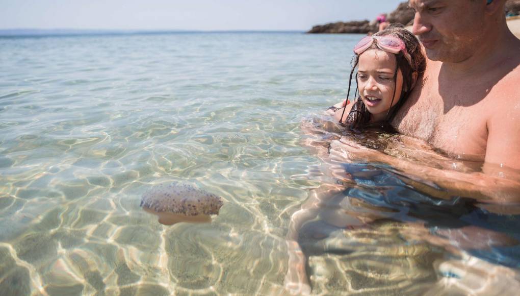 Verano 2023: ¿Cómo prevenir y tratar las picaduras de medusas?