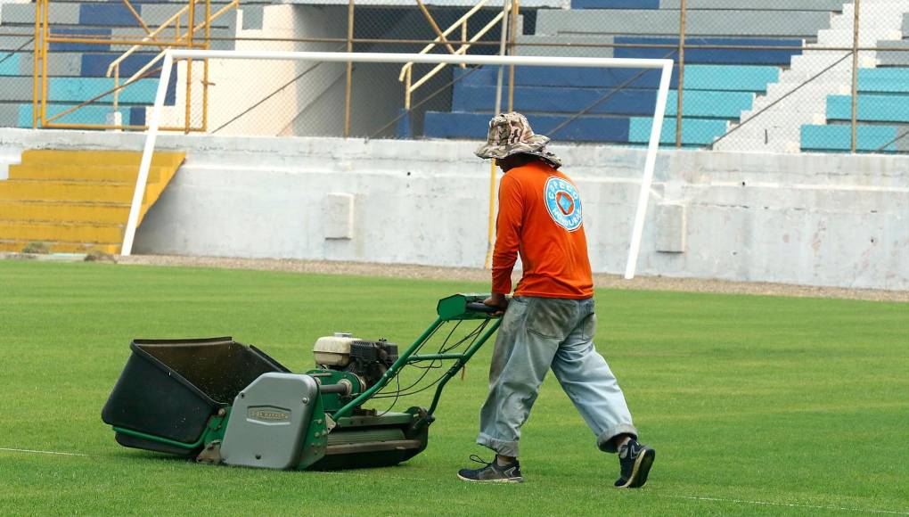 Los cortes que se realizan a diario para el cuidado.