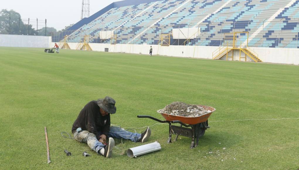 La grama dejó atrás el hongo que la daño.