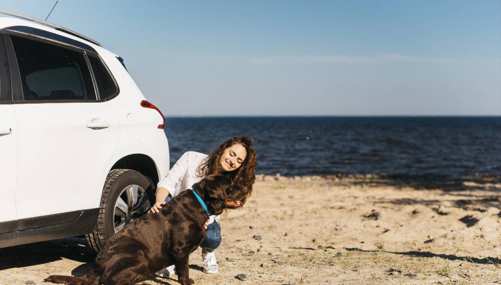 Consejos importantes para salir de viaje con su perro