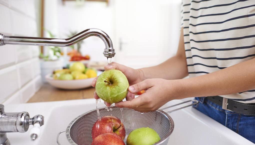 Seguridad alimentaria: diez consejos para evitar toxiinfecciones