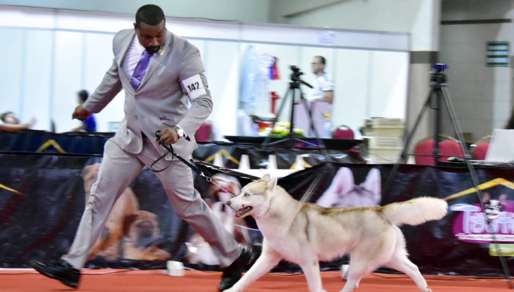 En el caso de Honduras, ganó más de 17 medallas.