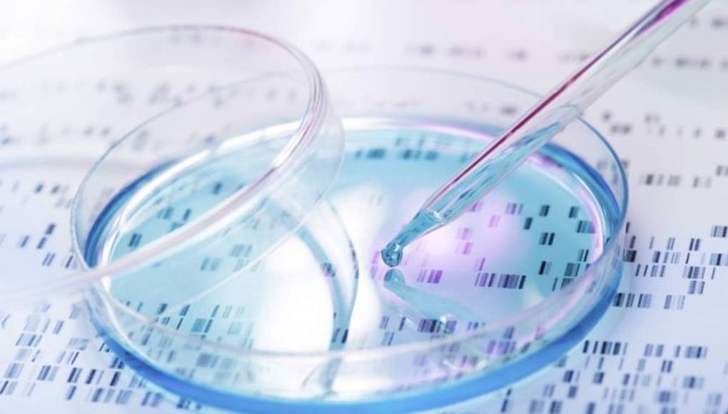 Un mapa del ADN podría conducir a un tratamiento personalizado para el cáncer