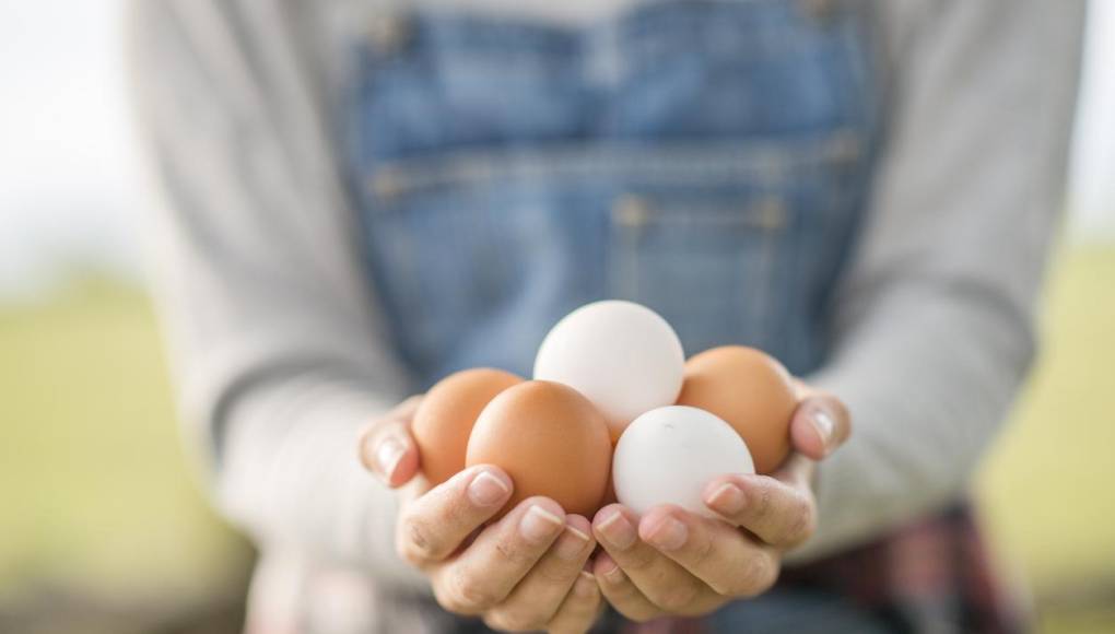 Cinco maneras de sustituir el huevo