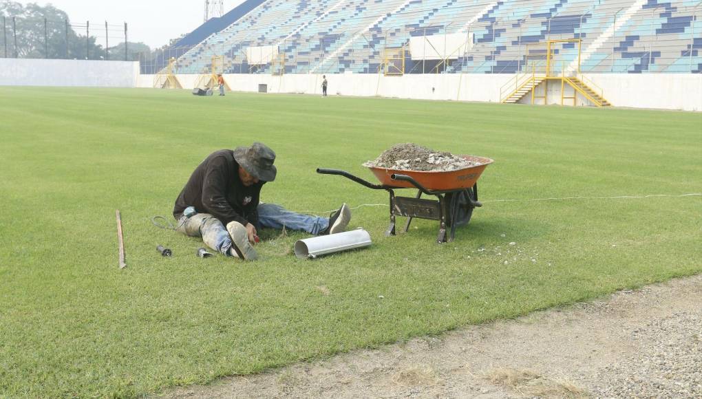 La grama dejó atrás el hongo que la daño.