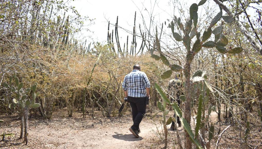 Para apreciar el colibrí y jamo, hay dos senderos; uno de 700 metros y otro que supera el kilómetro. En el 2005 fue declarada Área Protegida.
