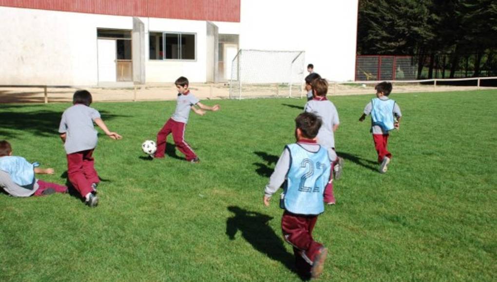 Ver espacios verdes ayuda en el rendimiento de los estudiantes
