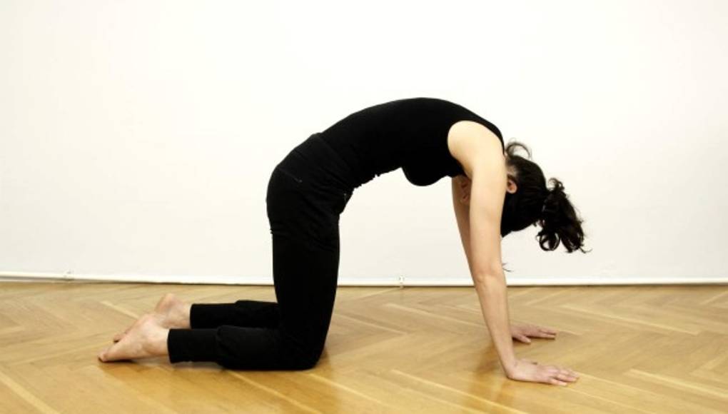 Conozca los ejercicios que cuidan su espalda