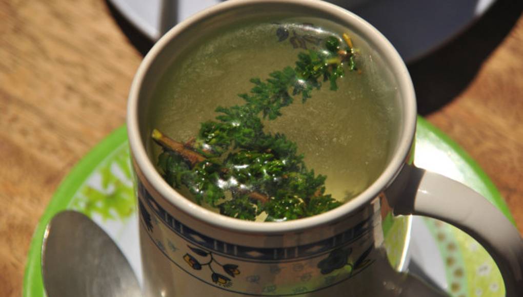 Propiedades de planta podrían reducir cáncer