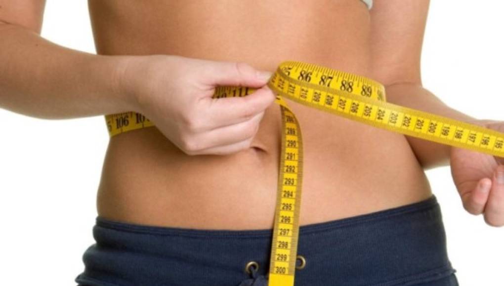 Las bacterias intestinales pueden afectar los niveles de grasa corporal