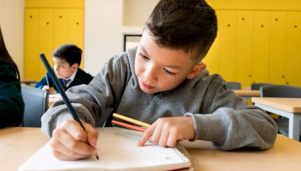 Llaman a fomentar tolerancia en los niños