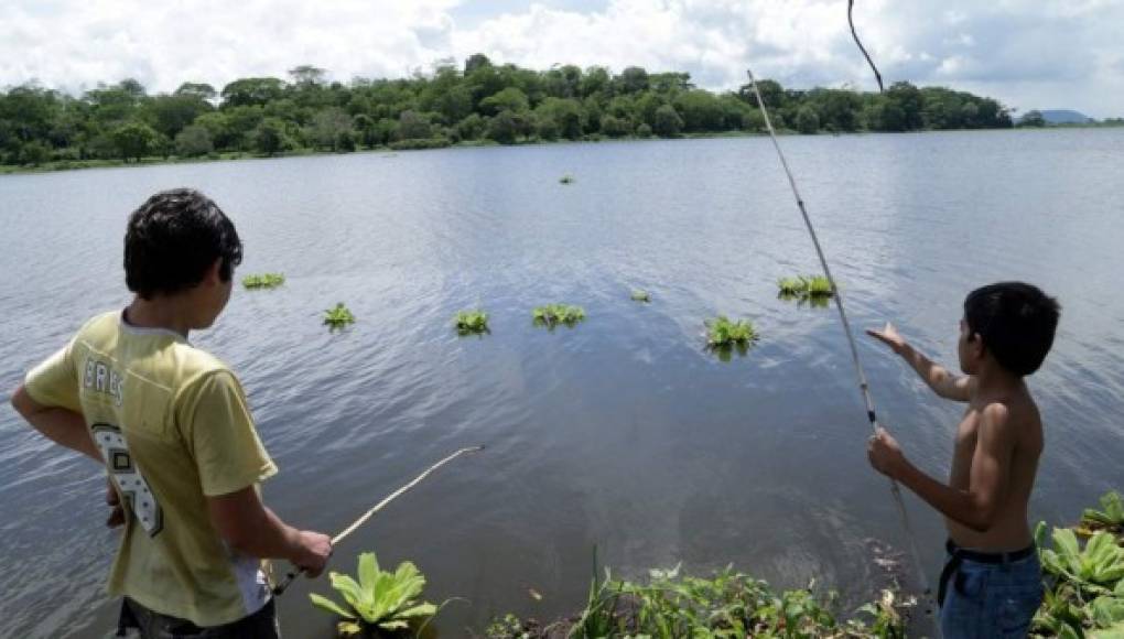 El crecimiento desordenado pone en riesgo el agua en San Pedro Sula