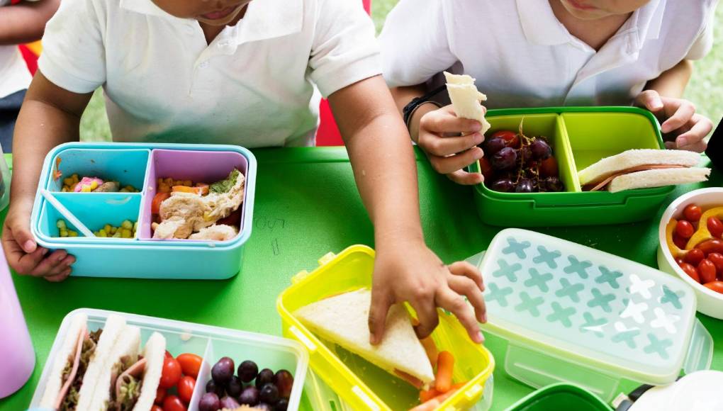 La lonchera: por qué debe ser nutritiva y muy apetitosa