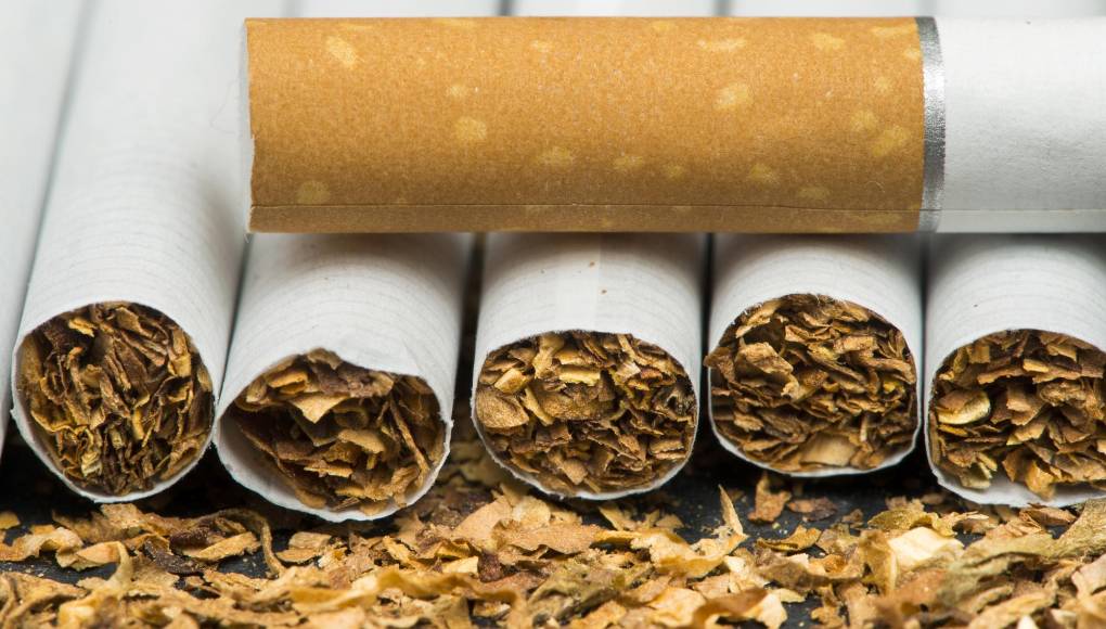 OMS impulsa campaña para que los productores de tabaco cambien de cultivo