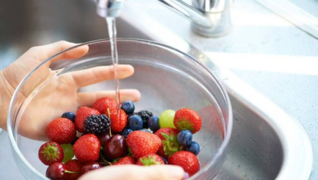 Investigadores proponen método para reducir bacteria E.coli en alimentos