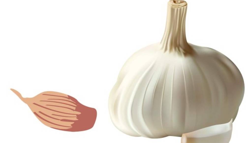 El ajo, especial para todo