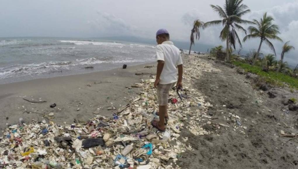 Embajada de Taiwán apoyará trabajos para dejar las playas de Omoa sin basura
