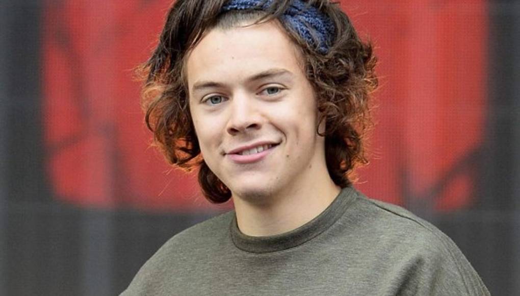 Harry Styles es agregido por fan