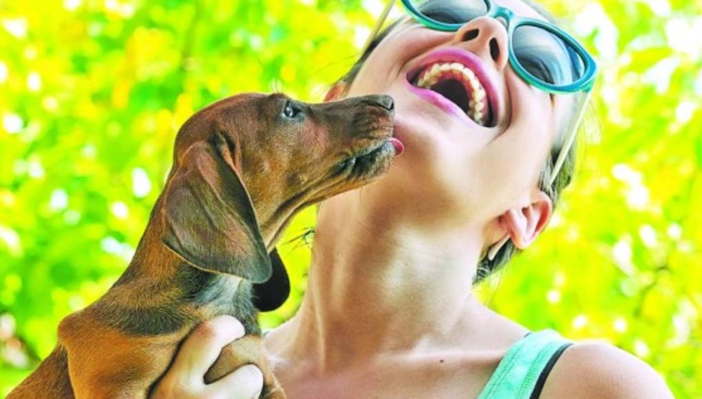 Póngale fin a la desorganización