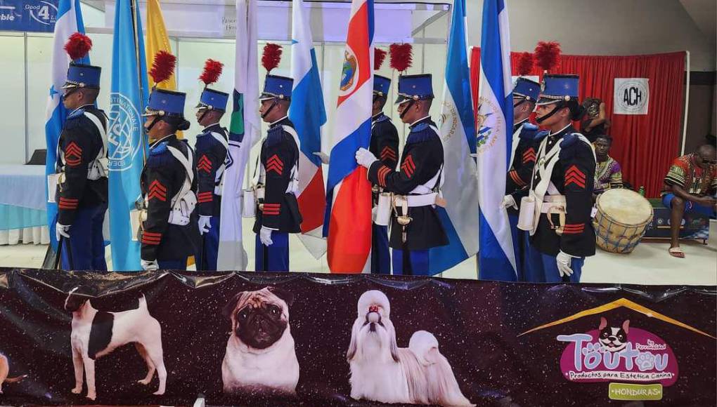 Mientras que el panel de jueces estuvo integrado por Tamas Jakkel de Hungría, Gopi Krishnan de Malasia, Juan Luis Martínez de México, Juan Grillo de Colombia, José Miguel Doval de España, Stefan Sinko de Eslovenia y Willian Rodríguez de Costa Rica.