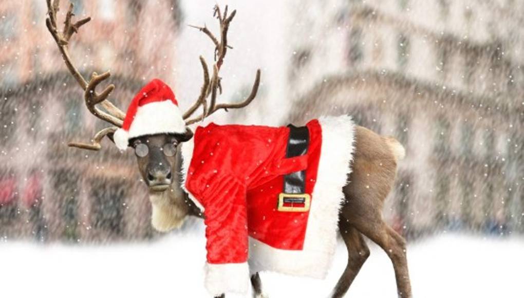 ¿La dieta y el estilo de vida de Papá Noel hacen que merezca carbón?