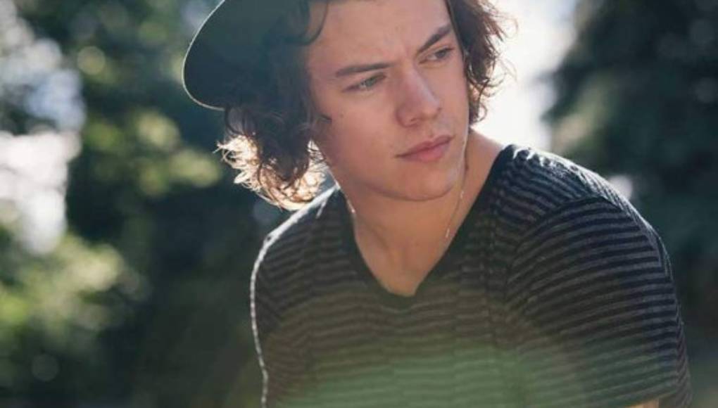 Harry Styles debutará en el cine