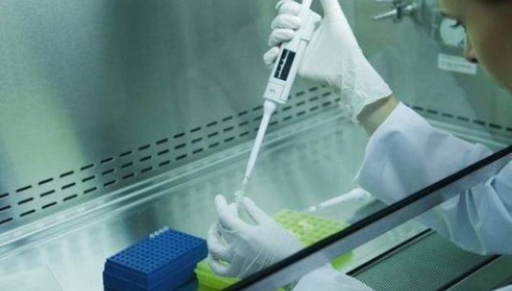 Identifican el ADN que regula la actividad en el páncreas humano