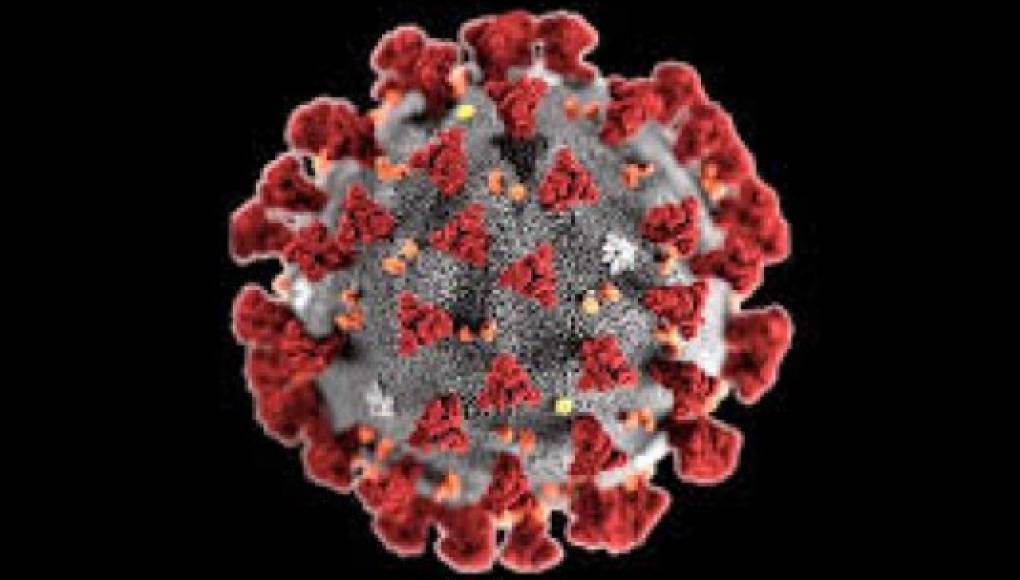 Una cepa nueva del coronavirus es más contagiosa, advierten científicos