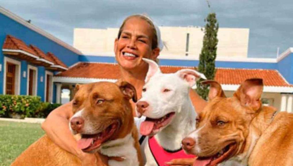 Estas fotografías han provocado la preocupación e indignación de millones de personas pues algunos aseguran que los animales podrían ser utilizados para el sacrificio, y es que hace algunos años, Niurka Marcos habría confirmado que le da de comer a sus santos.