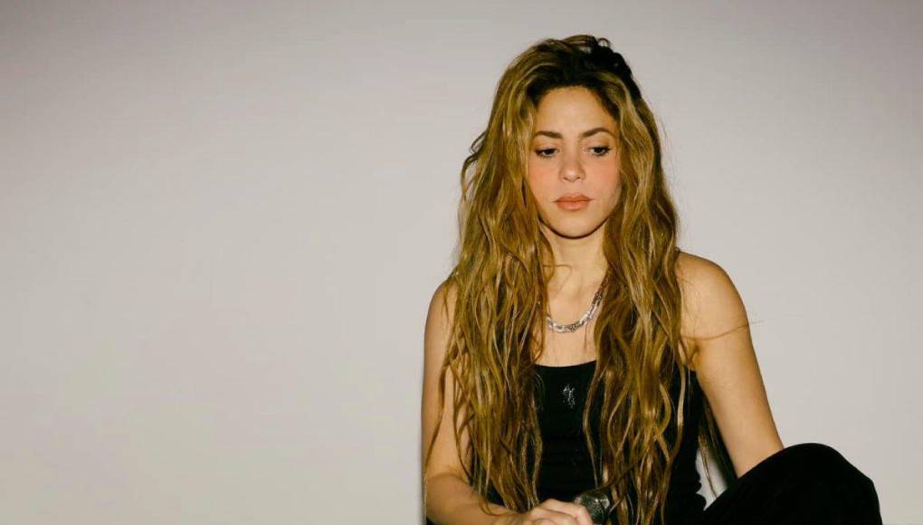 “Tengo a los mejores fans del mundo. <b>Han estado conmigo en los buenos y malos momentos</b>. Siempre han estado conmigo apoyándome”, comenzó diciendo Shakira, agradeciendo a sus seguidores todo el apoyo y cariño que ha recibido a lo largo de los últimos meses.