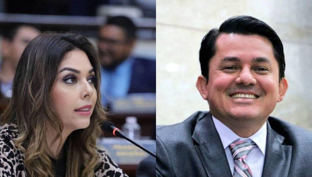 La diputada nacionalista María Antonieta Mejía arremetió recientemente contra el diputado Fabricio Sandoval de Libertad y Refundación, Libre, tras declaracions emitidas de Sandoval en favor de la reelección del expresidente y actual asesor presidencial José Manuel Zelaya Rosales, le dijo que su cerebro es limitado.