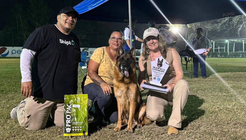 Mejor ejemplar hembra de pastor alemán.