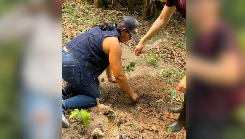Y aunque inicialmente el proyecto se está desarrollando en la zona norte, se espera extenderlo por todo el territorio nacional. 