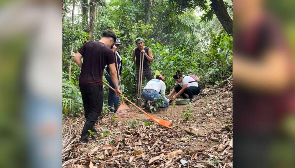 “Me motivó que hace unas semanas atrás, donde yo vivo tengo vista hacia unas montañas, las cuales ya no se ven por la contaminación del humo y además que en mi pueblo siempre ha sido un lugar fresco pero estos últimos años atrás ha cambiado bastante la temperatura, entonces dije hay que hacer algo para que esto no siga avanzando entonces decidí iniciar con este proyecto”, dijo Anthony Sosa.