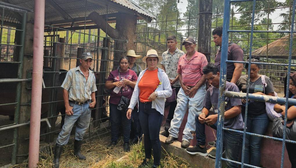Tras la denuncia de los empleados de que les deben dos meses de salario, este lunes recibieron el pago de una quincena.