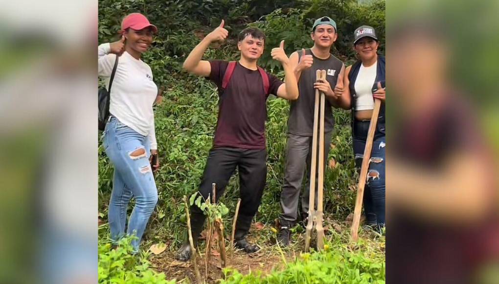 Señaló que quienes quieran colaborar “⁠pueden contactarse a través de mis redes Instagram o tiktok como @tonysosaoficial si tienen voluntad de donar árboles ya que eso es lo que ocupamos por ahorita”.