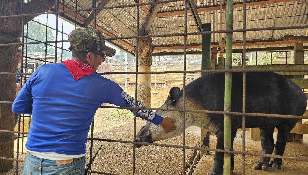 Los representantes de la Oabi dijeron que el retraso en el pago se debía que habían detectado las planillas infladas.
