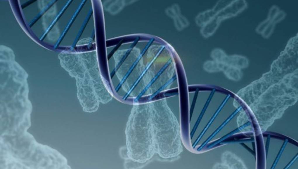 Descubierto un gen que puede ayudar a desarrollar métodos contra el dolor