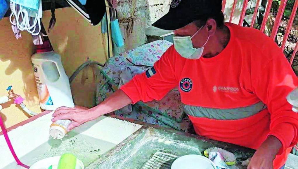 Cortés, Choluteca, Yoro y El Paraíso reportan alza en los casos de dengue