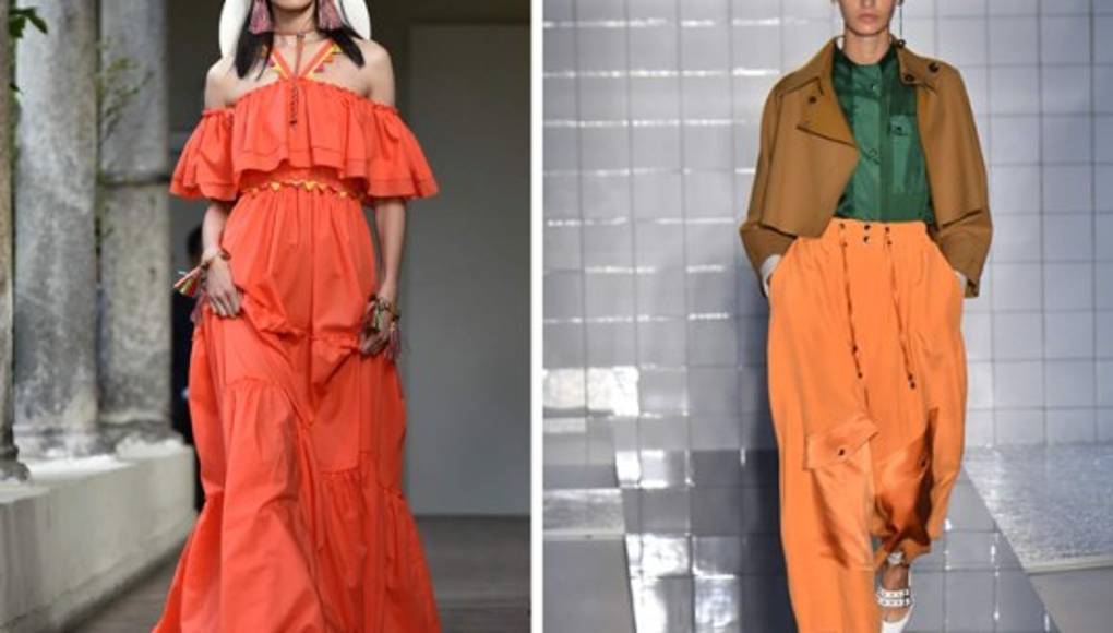 Naranja dulce para tu día a día