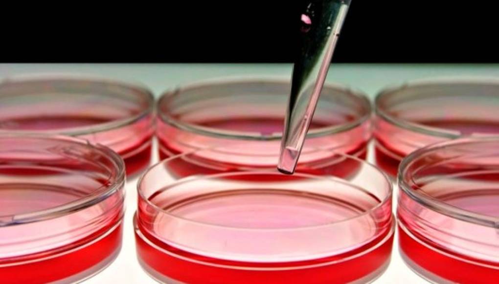 La terapia génica se posiciona contra cánceres de sangre y sistema inmune