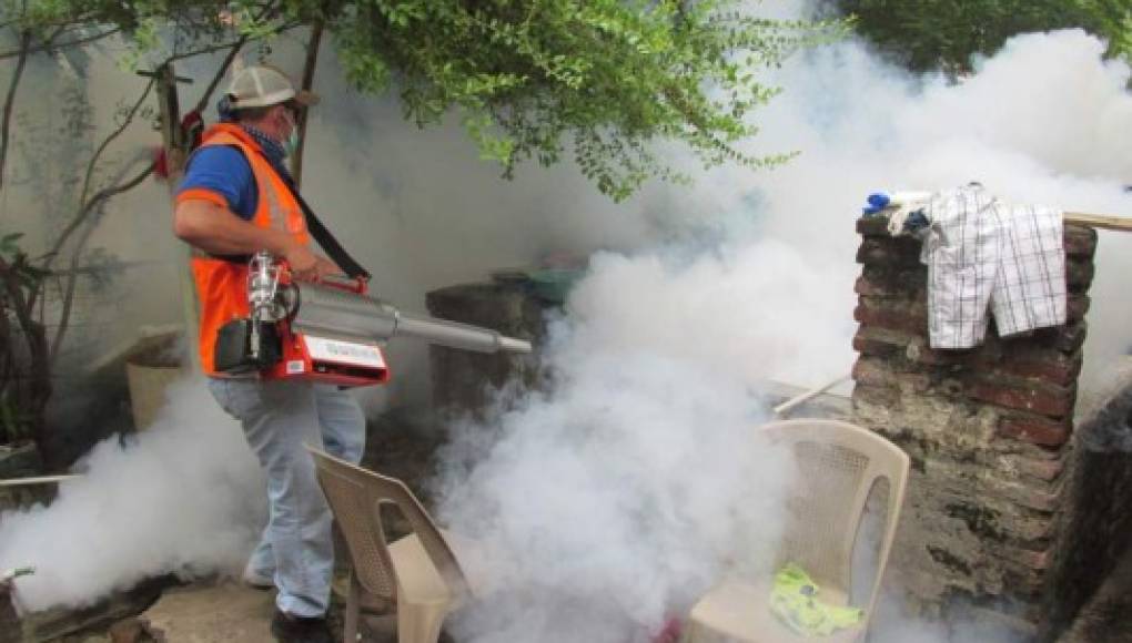 Epidemiólogos: el zika no es peor que el dengue