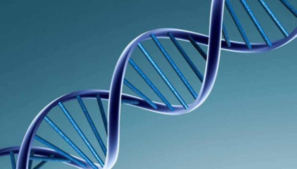 Una prueba genética predice el riesgo de 5 enfermedades comunes