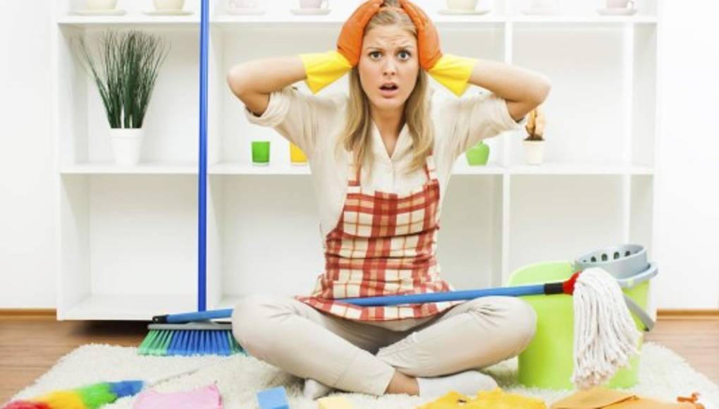 No permita que las plagas invadan su hogar