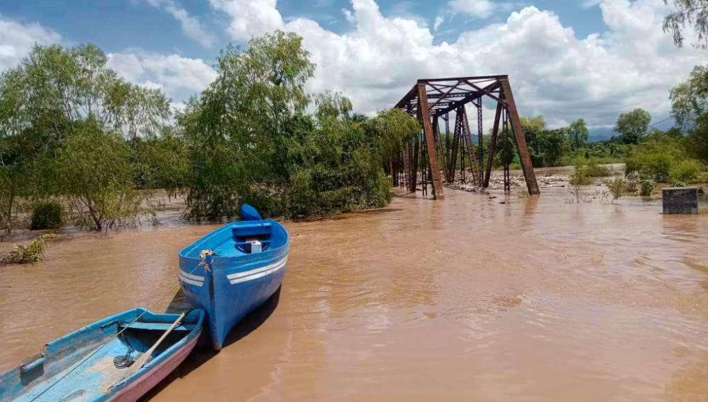 Enormes daños en cultivos deja el temible río Ulúa