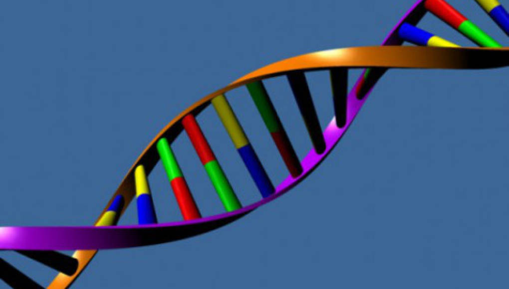 Descubren segundo código genético en el ADN
