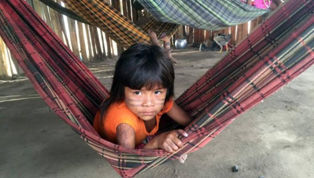 Conoce a los indios Ka’apor  